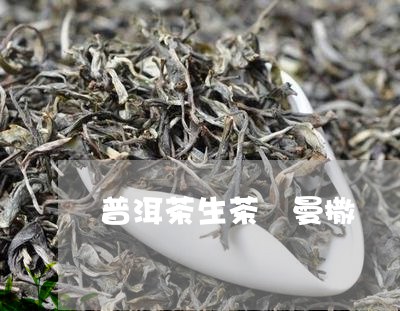 普洱茶生茶 曼撒/2023041157362